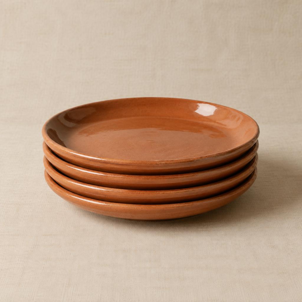 Assiettes Terre (×4)